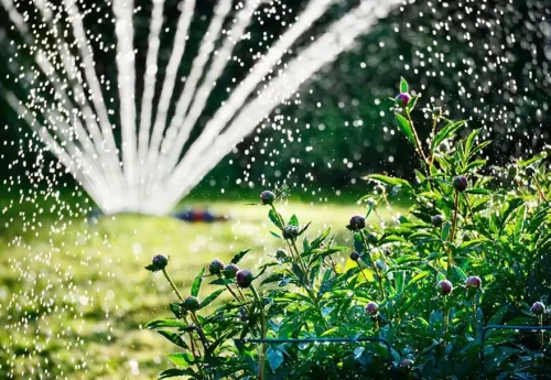Irrigation