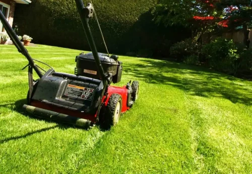 Lawn Care & Maintenance