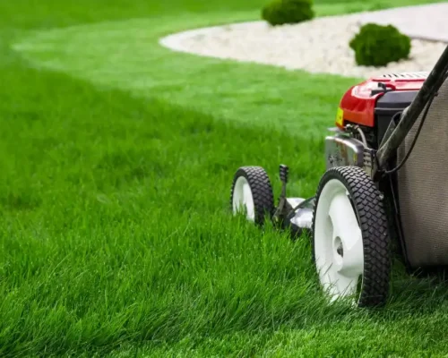Mowing