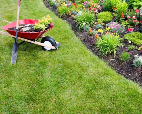 Yard Cleanups